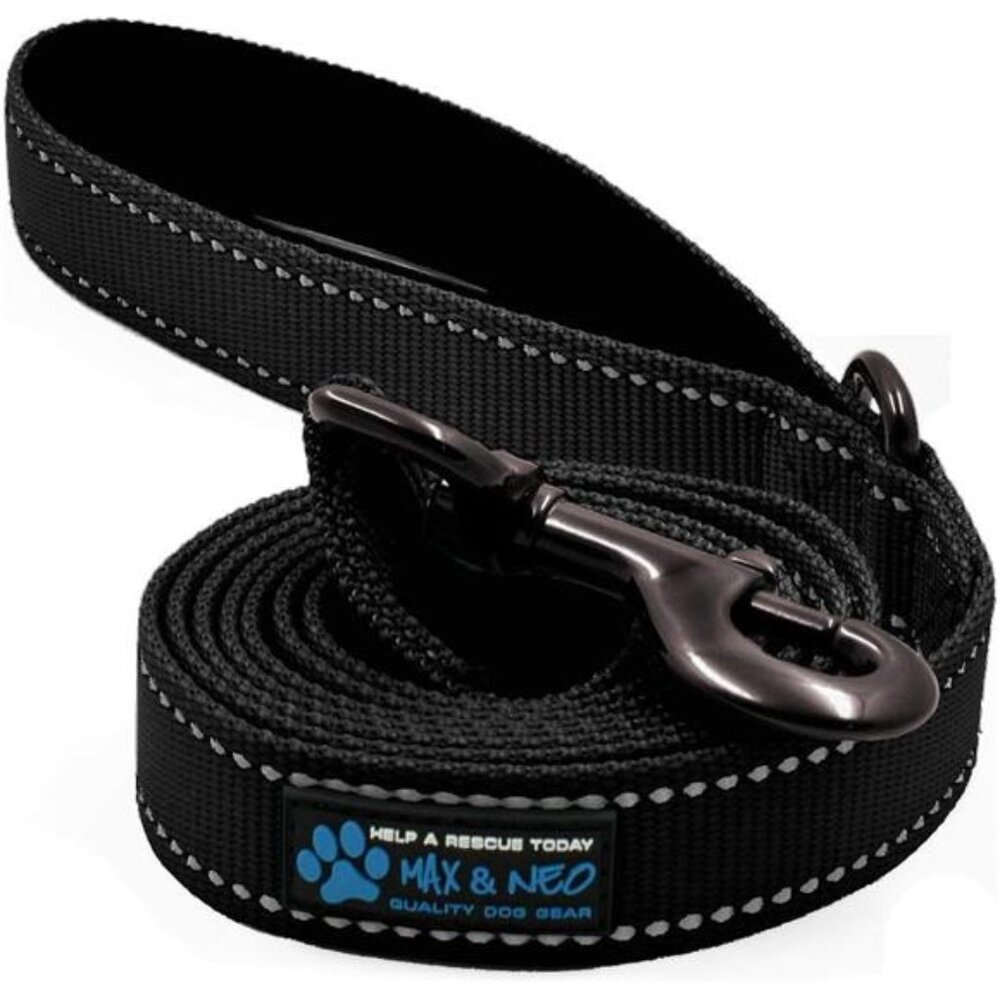 Reflective Nylon Dog Leash